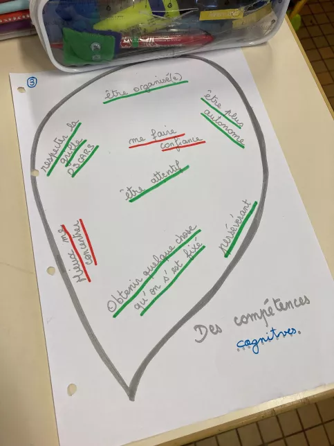 Pétale compétences cognitives
