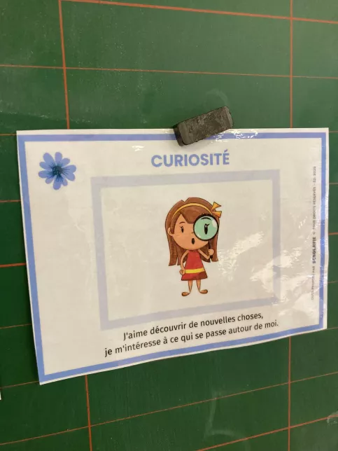 Illustration de la curiosité