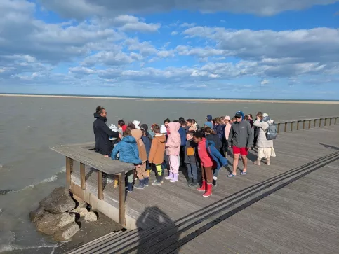 Découverte étang de Leucate - classe verte NDA